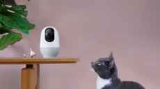 Nooie offers 360-degree view of home with new camera