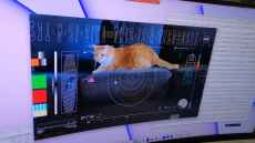 Cat video beamed 31 million km from deep space back to Earth