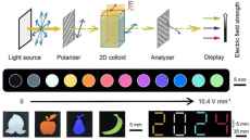 Research offers improvement in LCD resolution and efficiency with single pixel design