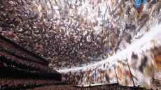 U2 opens 'U2:UV Achtung Baby' at The Sphere to great acclaim (VIDEO)