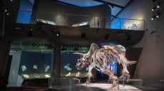 Genelec loudspeakers bring history to life for Melbourne Museum’s new immersive exhibition