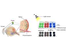 Screen the size of a human eye capable of 25,000 pixels per inch resolution