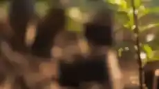 Barco ClickShare Bar range received carbon-neutral certification