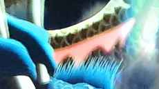 Christie laser projection lights up the National Folk Museum of Korea