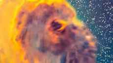 Auckland’s Stardome enhances immersion with Harman