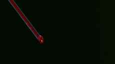 Liquid-filled fibre bends, stretches and works just as well as glass