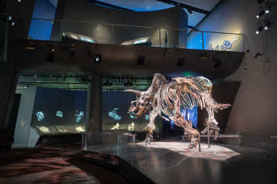 Genelec loudspeakers help bring history to life for immersive exhibition