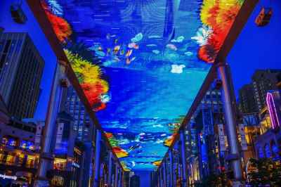 Record-breaking LEDs [gallery]