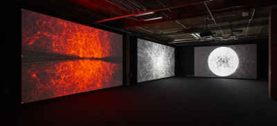Immersive entertainment: why projection holds the key to shared experiences