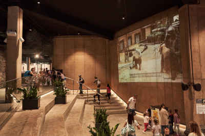 Orientarium in Lódz chooses Sony displays