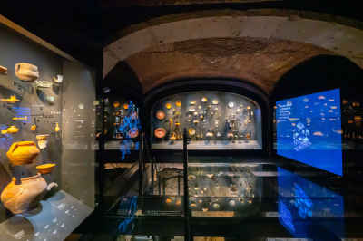 Immersed in history: Inavation Awards' winner NARC