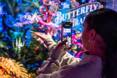 Pixel Artworks to launch Mixed Reality experience with WebAR which allows people to hold butterflies in their hands