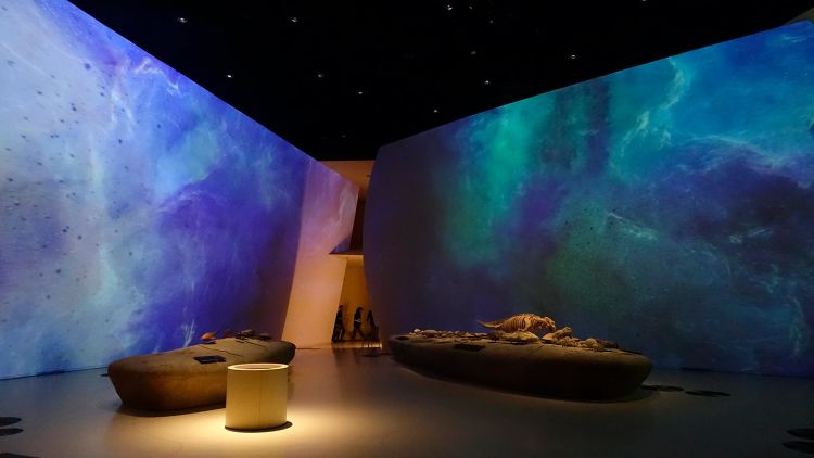 Desert Rose: The National Museum of Qatar shines with immersive tech