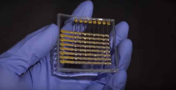 Researchers develop first fully 3D printed, flexible OL - Vimarsana News