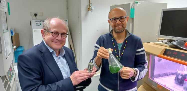 Algae power source runs IoT device processor for a year - InAVate