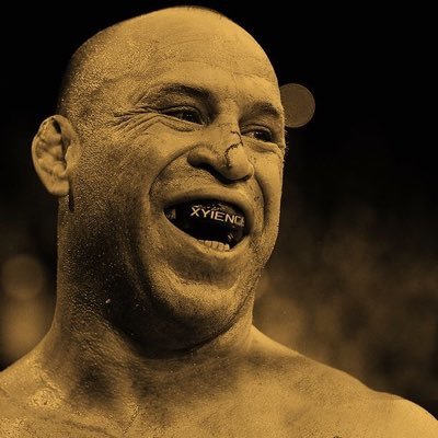 Wanderlei Silva