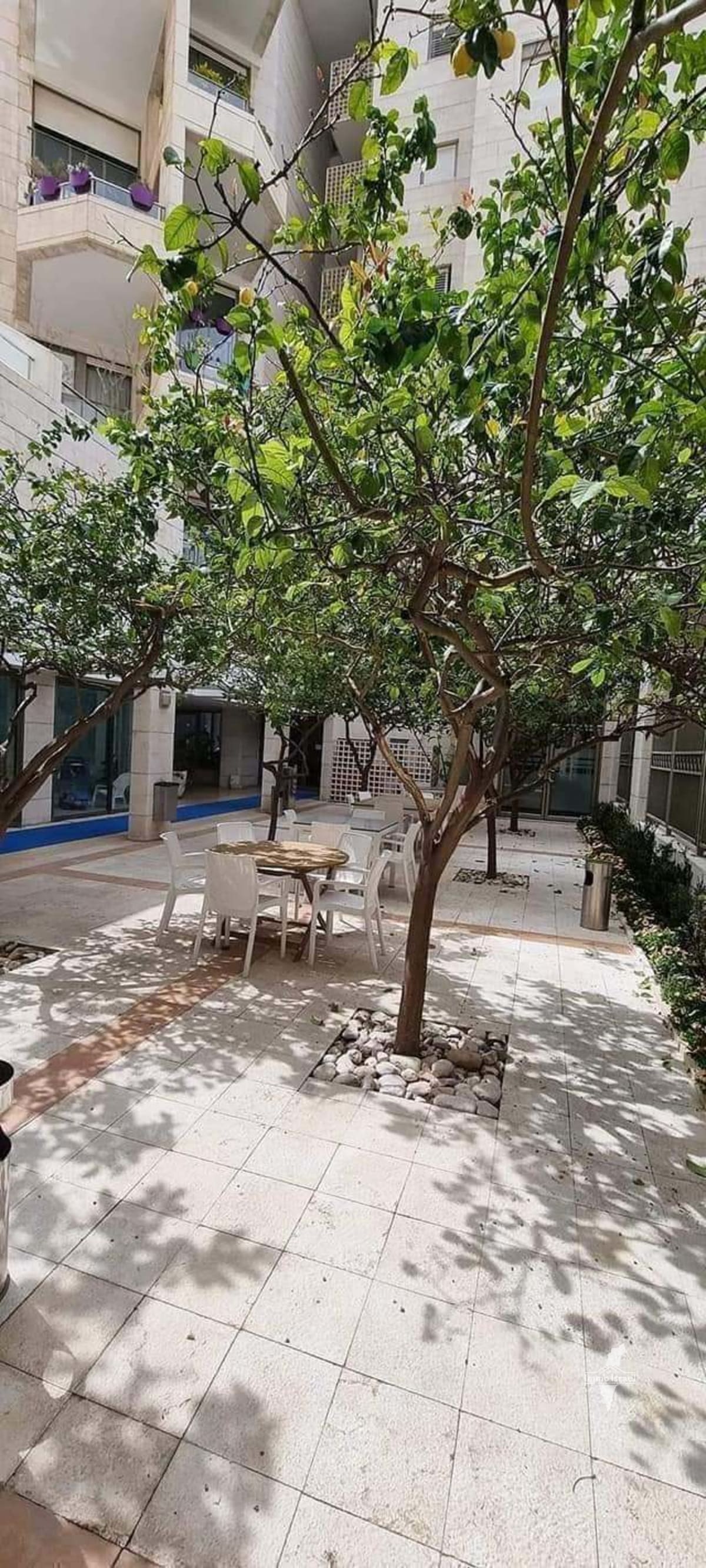 For Sale: Luxury 5-Room Apartment in North Tel Aviv