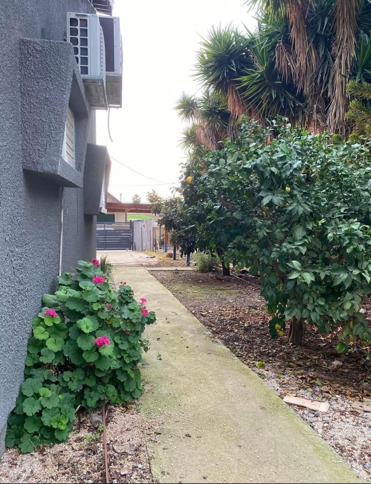 Ferme de 4 pièces à vendre à Moshav Zohar