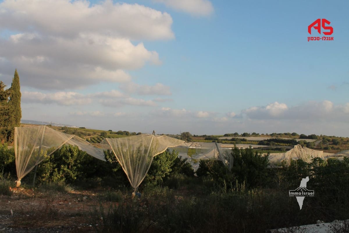 נחלה 4 חדרים למכירה ברחוב העפרוני 12, גבעת ניל"י