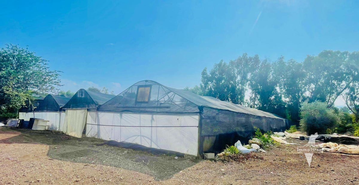 6-Dunam Estate with Panoramic View of the Kinneret and the Golan Heights in Chorazim