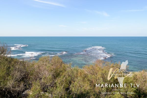 וילה 5 חדרים מול הים להשכרה ברחוב יוטבת, תל אביב-יפו