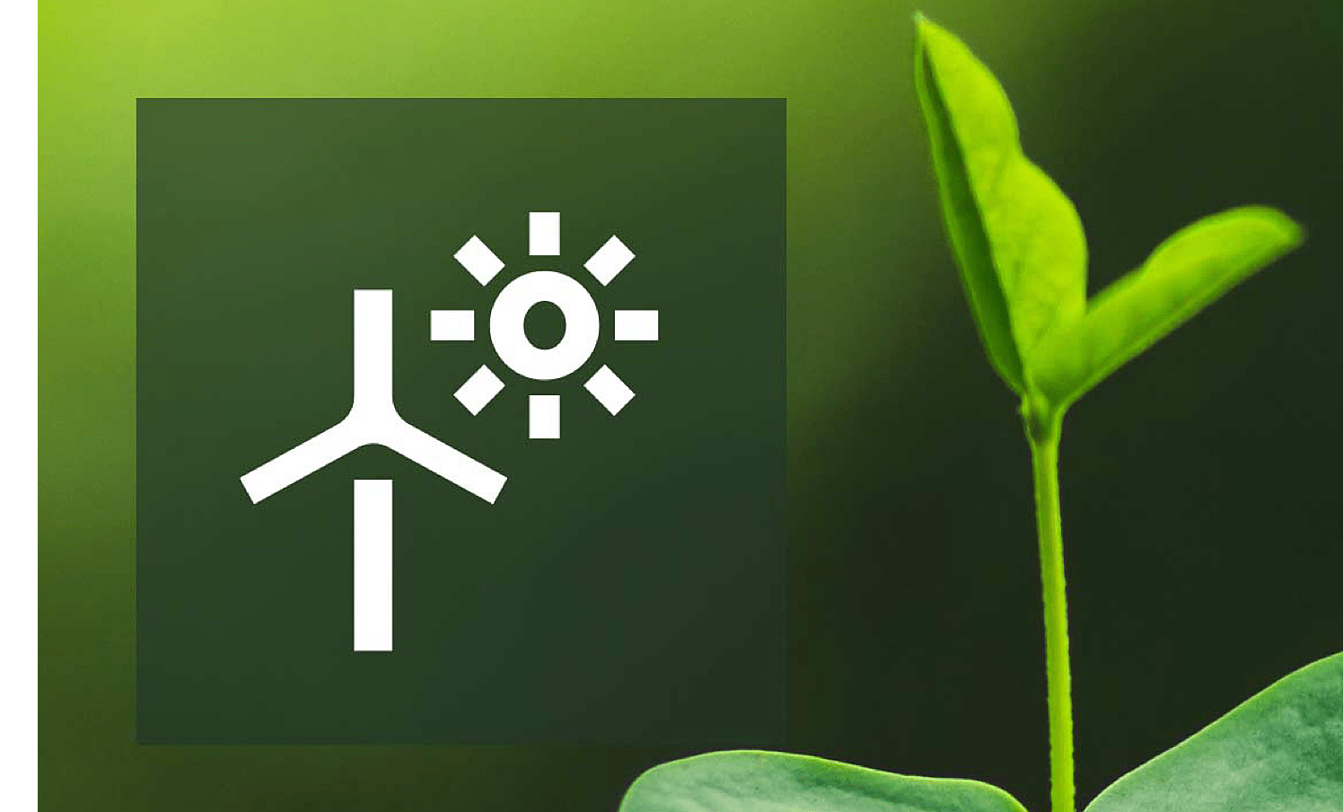 RENEWABLE ENERGY USE