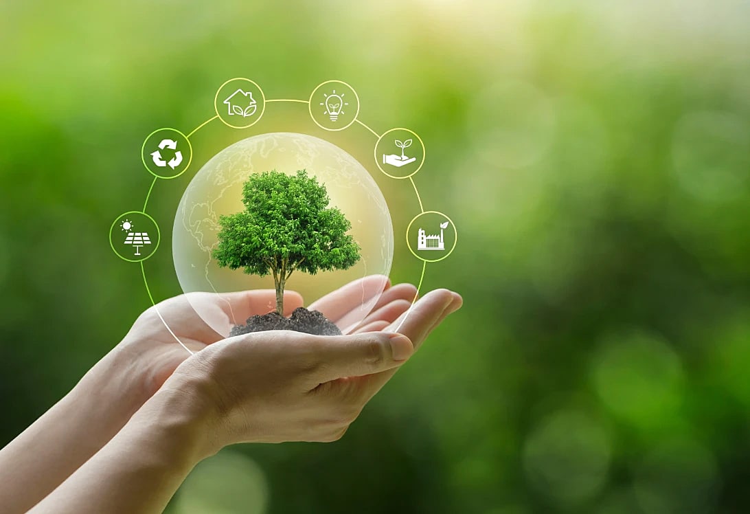 Eco Friendly Cosmetic Packaging