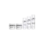 Keyuan Packaging 1.76oz/50g 58-400 Round PETG Cream Jar with White PP Screw Cap and Chrome Collar