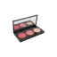 Rongyi Cosmetics 3-Pan Rectangular ABS Blush & Bronzer Palette with Round Wells & Mirror