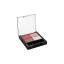 Rongyi Cosmetics 4-Pan Square ABS Eye & Lip Palette with Rectangular Wells, Applicator Well & Fully Transparent Top