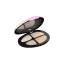 Rongyi Cosmetics 4-Pan Organic Pebble-Shaped ABS Eyeshadow Palette with Mirror & Iridescent Top