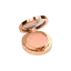 Rongyi Cosmetics Single-Pan Round ABS Two-Tier Metallic 8g Powder Compact with Magnetic Closure & Hidden Applicator Well