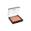 Rongyi Cosmetics Single-Pan Square ABS Powder Compact with Thick-Wall Fully Transparent Lid