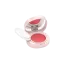 Rongyi Cosmetics Single-Pan Squircle ABS Cushion Compact with Mirror, Round Wells, Applicator Well & Push Button Closure