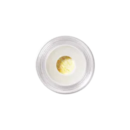 5ml PETG Round Mini Pot Jar with PP Lid, 2-in-1 Jar for Lip Duos, Eyeshadow, Blush & Bronzer