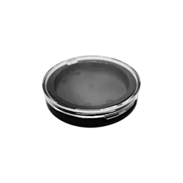 Single-Pan Round ABS Pressed Powder Compact for Bronzer & Foundation with Fully Transparent Lid