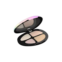4-Pan Organic Pebble-Shaped ABS Eyeshadow Palette with Mirror & Iridescent Top