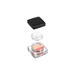 2x5g ABS Square Dual-Chamber Loose Powder Sifter Jar