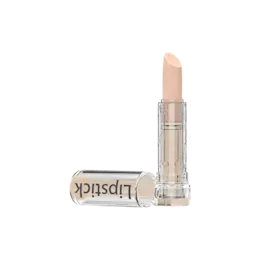 4.2g PET Cylinder Fully Transparent Lipstick with 12.7mm Bullet Cup