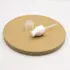 Likun Packaging 4.1oz /121ml Glass Round Bottle with Pump
