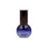 Likun Packaging 1.0oz /30ml Glass Specialty Bottle with Pump