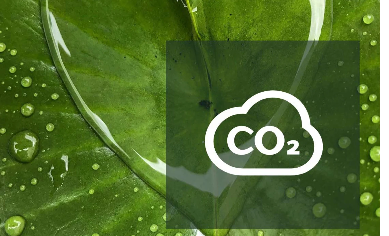 CO₂ FRIENDLY PRODUCTION