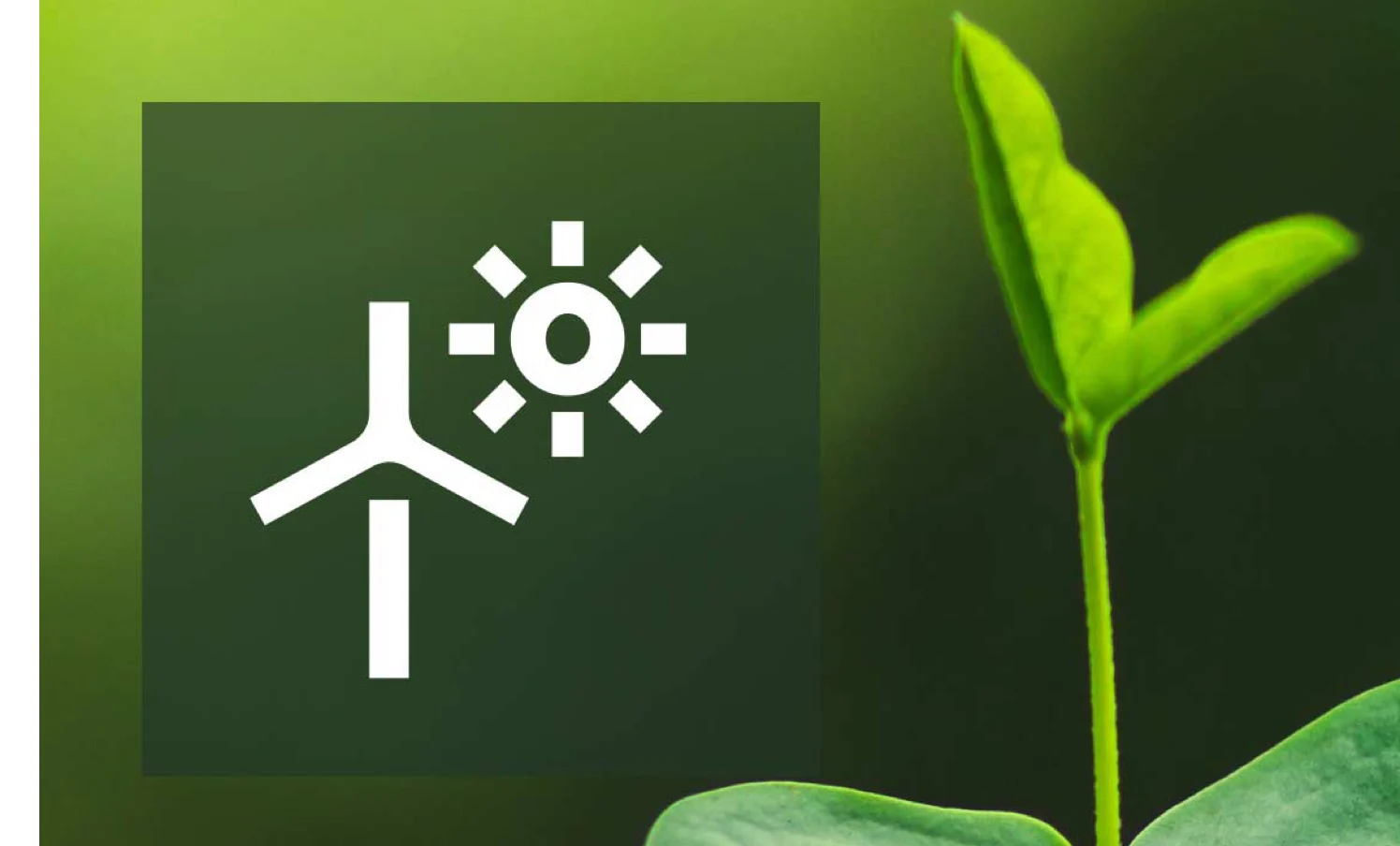 RENEWABLE ENERGY USE