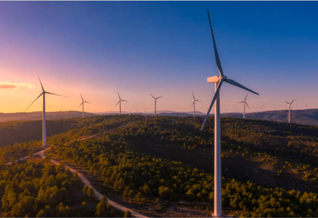 Embracing Renewable Energy