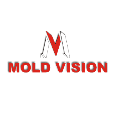 Mold Vision 