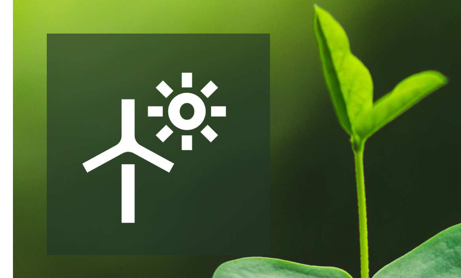 RENEWABLE ENERGY USE