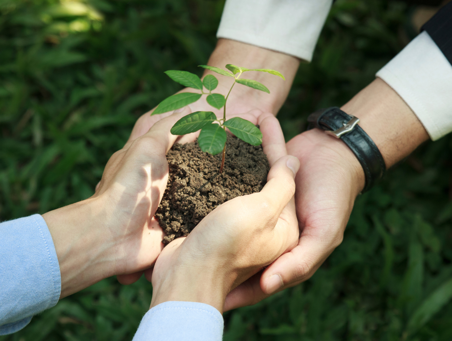 Preserving the Earth for Future Generations
