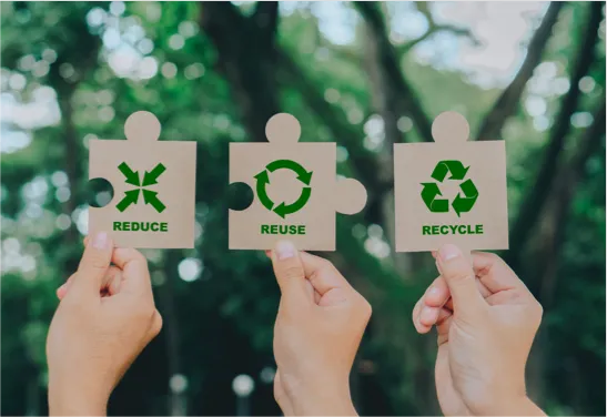 Eco-Friendly Packaging