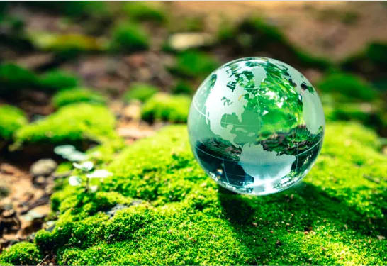 EcoPure: Biodegrading Additives