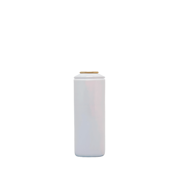 9.8oz /290ml 25.4mm Aluminum Aerosol Bottle